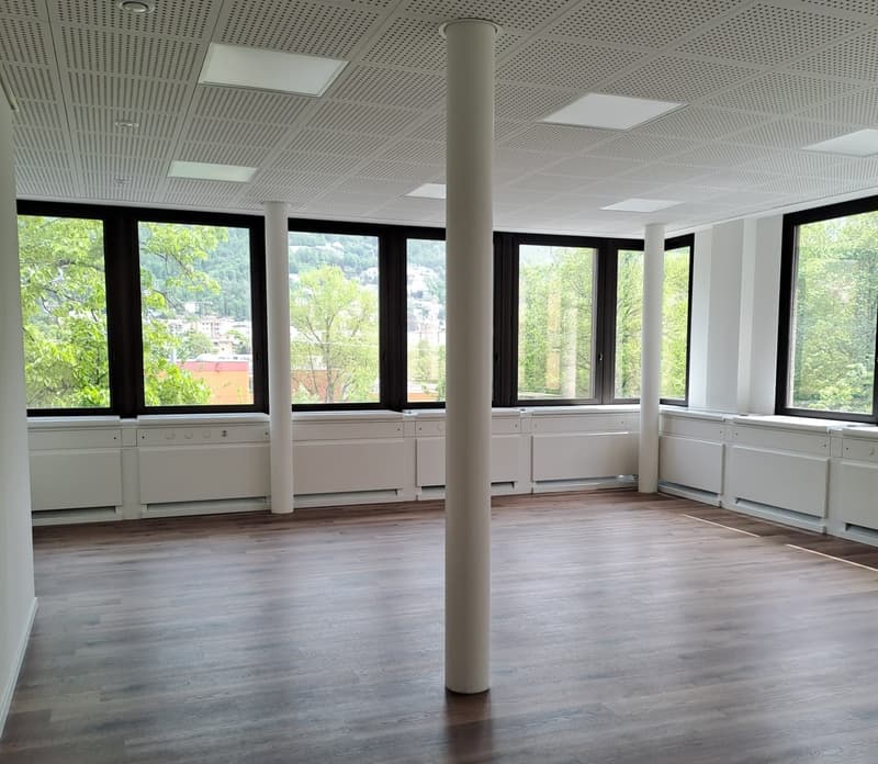 Prestigious office in Molino Nuovo (4)