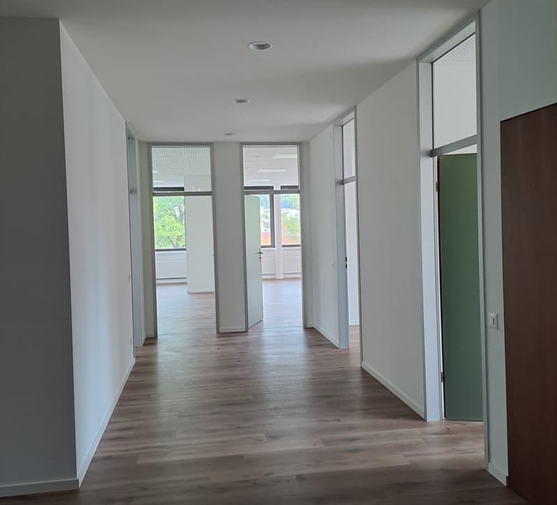 Prestigious office in Molino Nuovo (3)