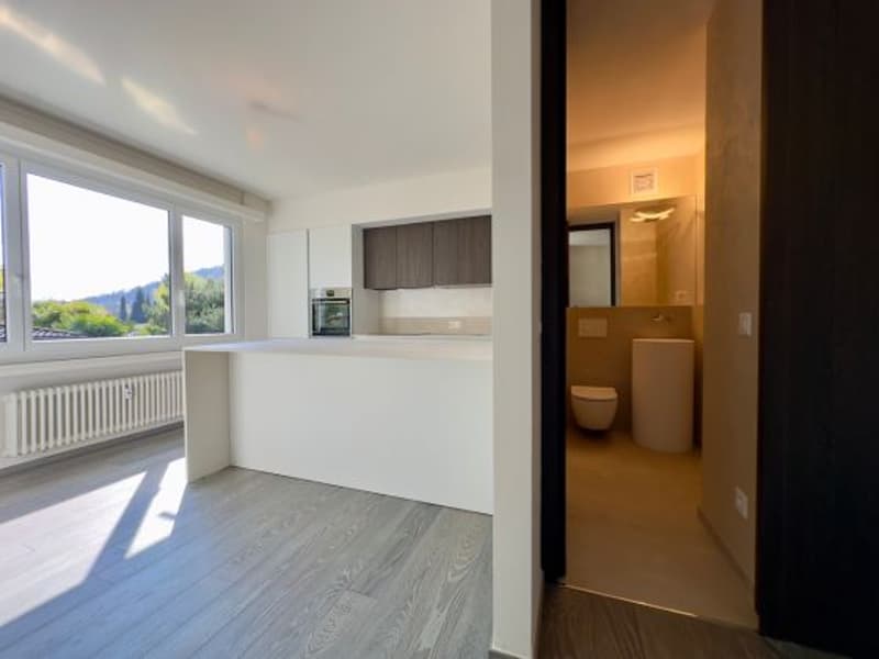 APARTMENT 4.5 ROOMS RENOVATED - CONDOMINIUM POOL (3)