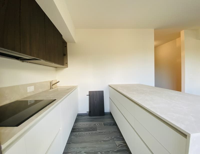 APARTMENT 4.5 ROOMS RENOVATED - CONDOMINIUM POOL (4)