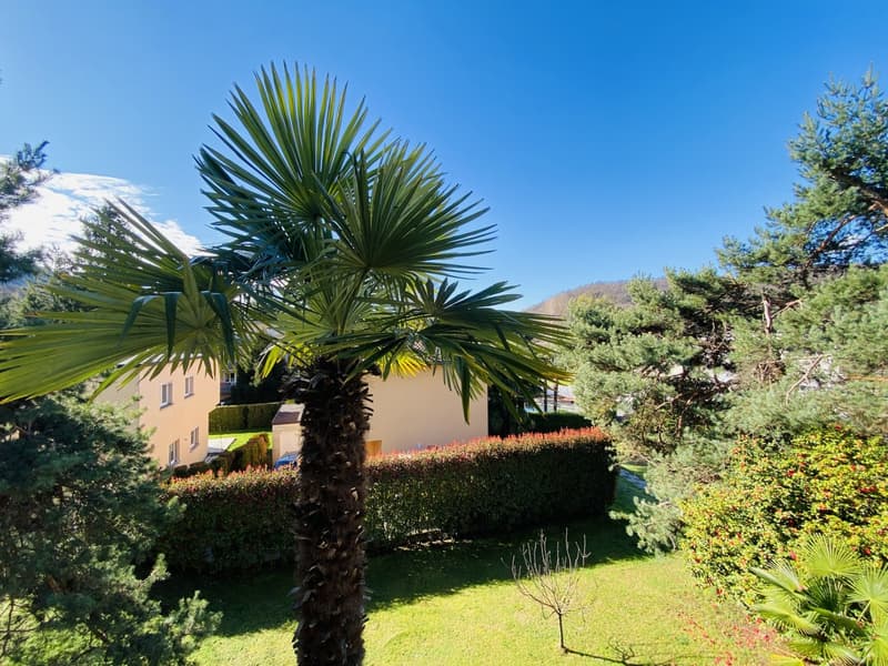 APARTMENT 4.5 ROOMS RENOVATED - CONDOMINIUM POOL (11)