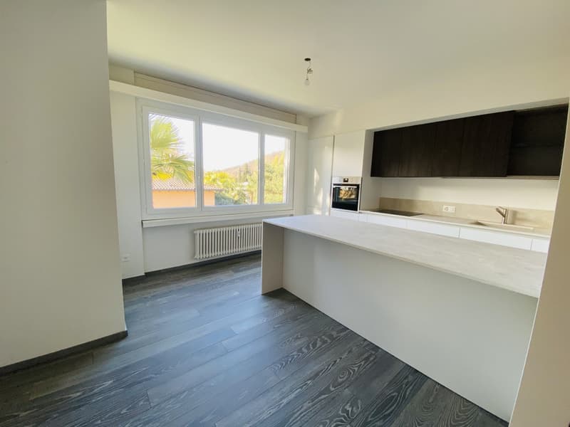 APARTMENT 4.5 ROOMS RENOVATED - CONDOMINIUM POOL (5)