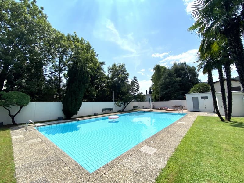 APARTMENT 4.5 ROOMS RENOVATED - CONDOMINIUM POOL (2)