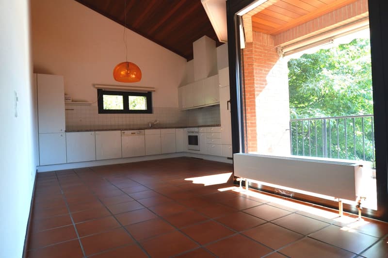APPARTAMENTO 5.5 LOCALI DUPLEX CON TERRAZZA IN PICCOLO CONTESTO NEL VERDE (7)
