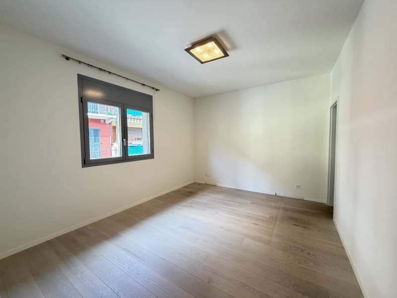 Elegante attico, grande terrasse ensoleillée avec vue sur le lac (9)