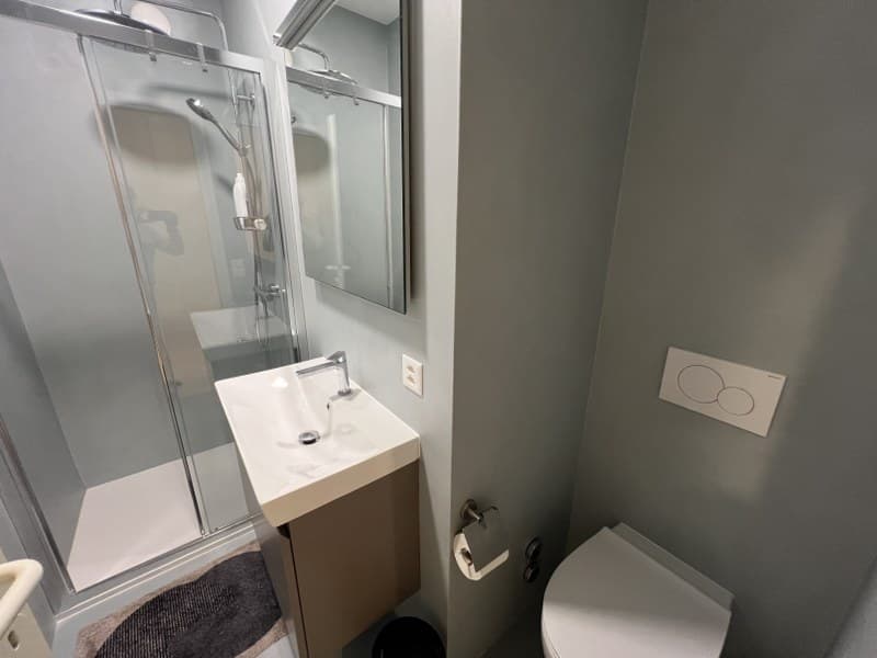 Prestigious 3.5-room attic apartment by the lake (13)