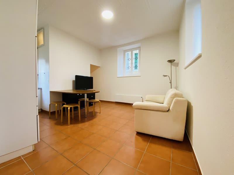 RISERVATO-FASZINIERENDES APPARTMENT 2.5 ZIMMER IM HERZEN DES HISTORISCHEN KERNGEBIETS (5)