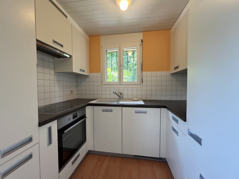 Appartement spacieux 3.5 pièces avec vue splendide sur le lac (8)