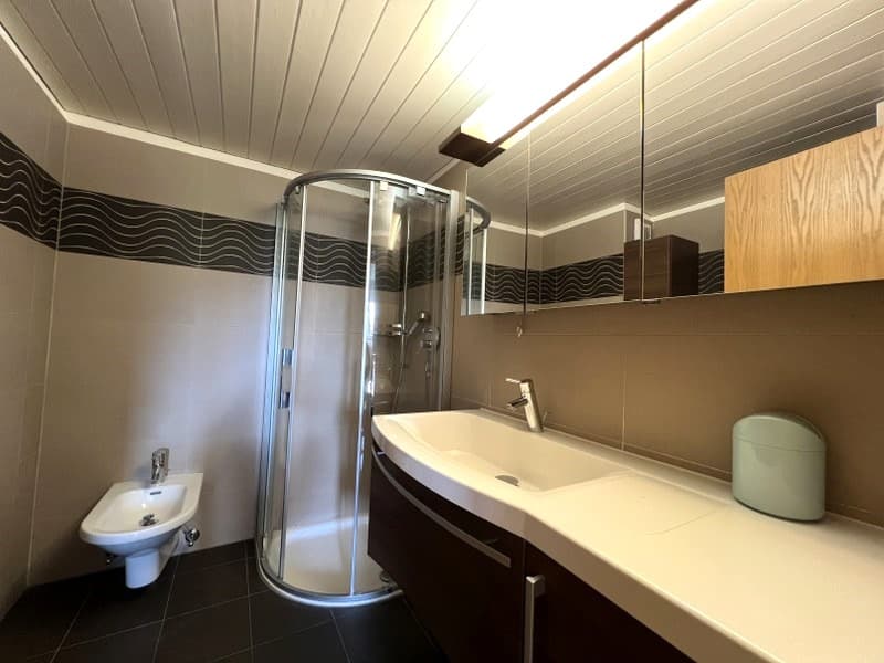 Appartement spacieux 3.5 pièces avec vue splendide sur le lac (12)