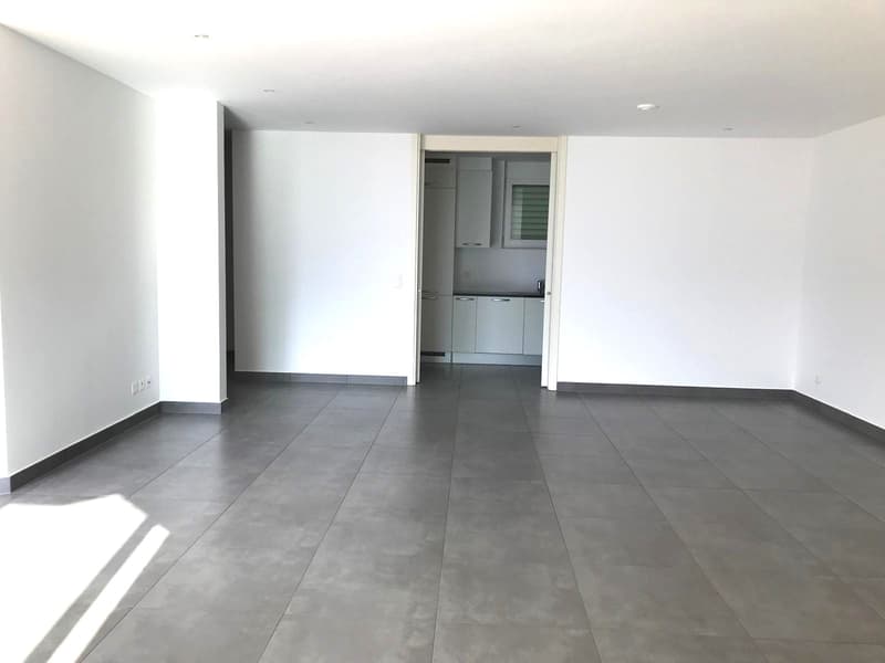 Attique 3.5 pièces avec terrasse splendide et vue sur le lac (5)