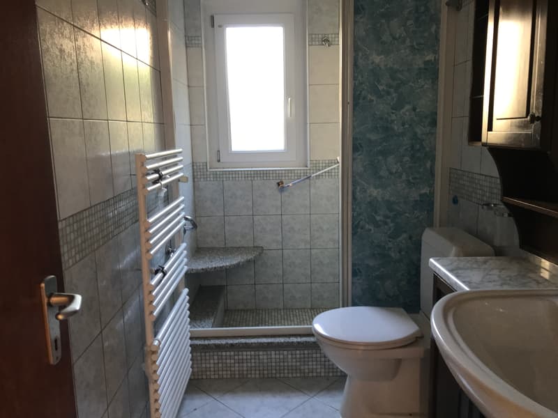 NEUER PREIS - EINZIGARTIGE GELEGENHEIT - GROSSES EINFAMILIENHAUS - 5,5 ZIMMER MIT GARTEN (12)