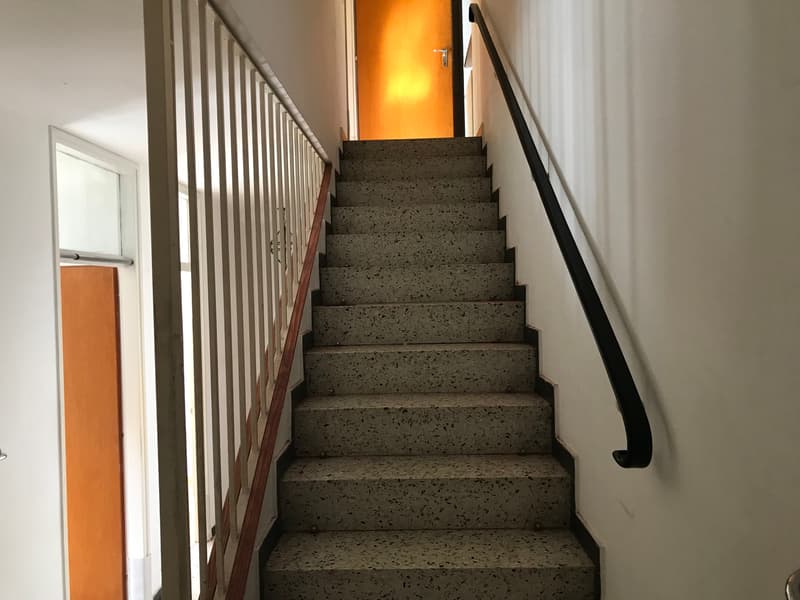 NEUER PREIS - EINZIGARTIGE GELEGENHEIT - GROSSES EINFAMILIENHAUS - 5,5 ZIMMER MIT GARTEN (7)