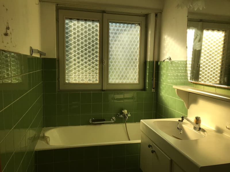 NEUER PREIS - EINZIGARTIGE GELEGENHEIT - GROSSES EINFAMILIENHAUS - 5,5 ZIMMER MIT GARTEN (6)