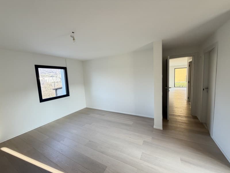APPARTMENT 4.5 ZIMMER MIT GARTEN ZU EXKLUSIVEM GEBRAUCH IN ELEGANTER VILLA (9)