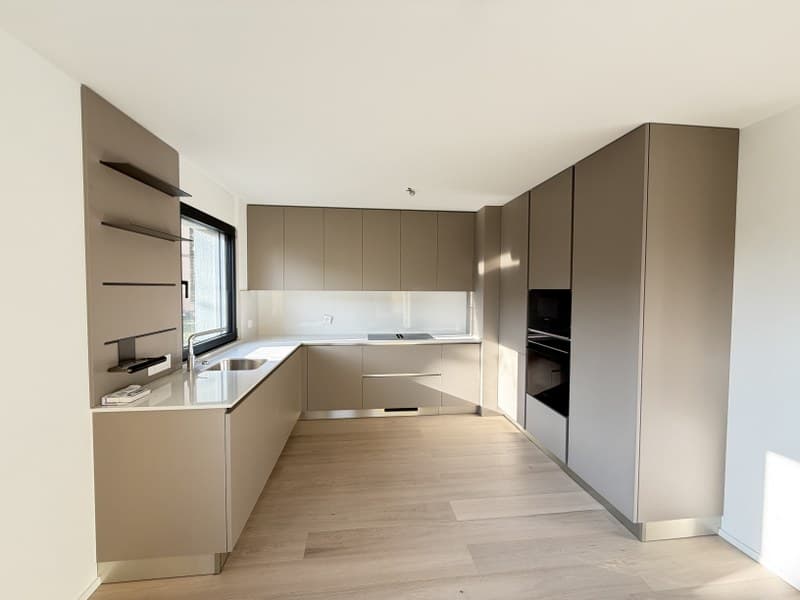 APPARTAMENTO ATTICO 4.5 LOCALI CON VISTA LAGO IN ELEGANTE PALAZZINA (6)