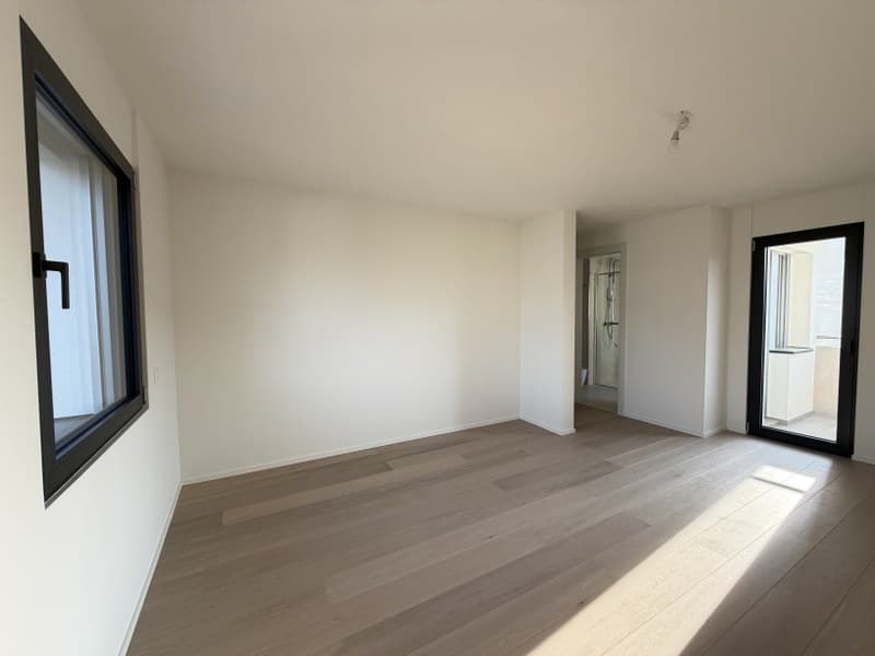 APPARTAMENTO ATTICO 4.5 LOCALI CON VISTA LAGO IN ELEGANTE PALAZZINA (13)