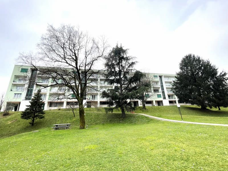 BRIGHT 4.5-ROOM DUPLEX WITH BALCONIES AND OPEN VIEW OF THE SURROUNDING HILLS. (3)