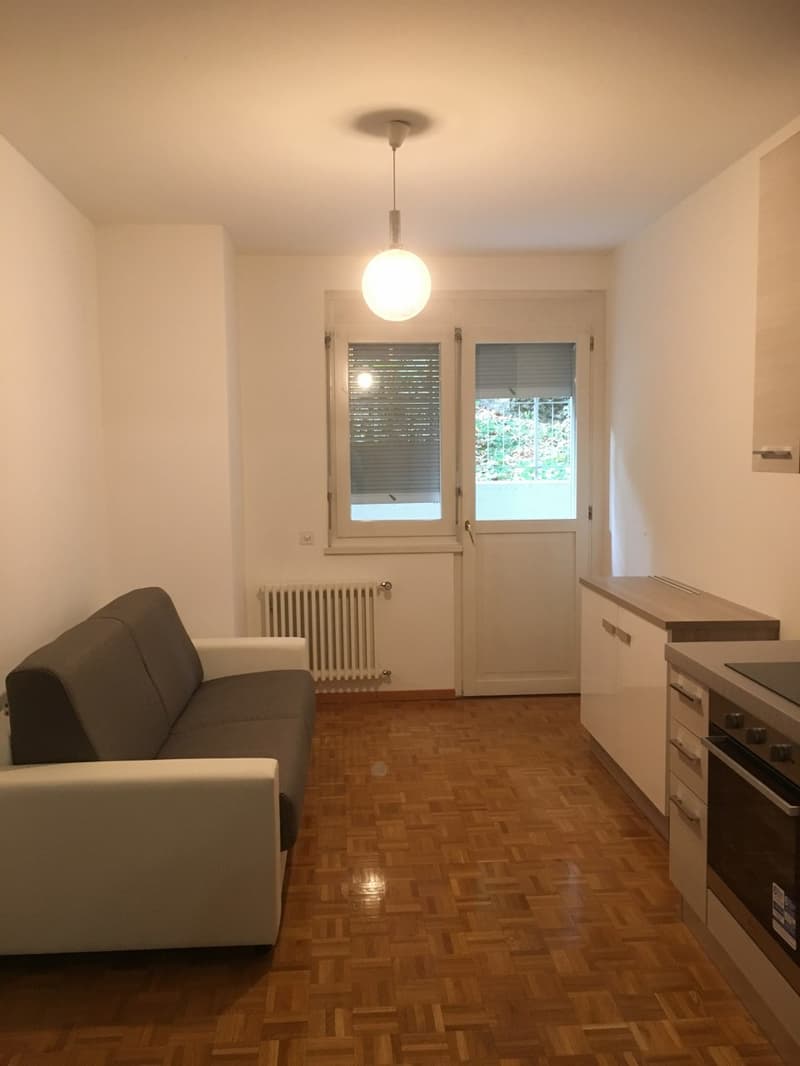 APPARTAMENTO 2.5 LOCALI COMPLETAMENTE ARREDATO (5)