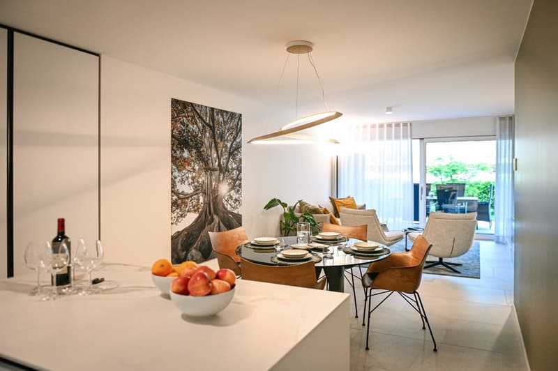NOUVEL APPARTEMENT 3.5 PIÈCES AVEC TERRASSE ET JARDIN (6)