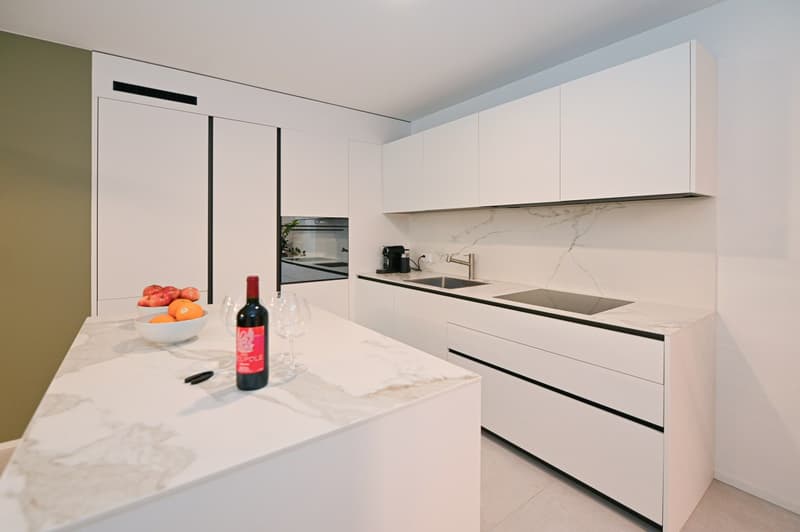 NOUVEL APPARTEMENT 3.5 PIÈCES AVEC TERRASSE ET JARDIN (3)