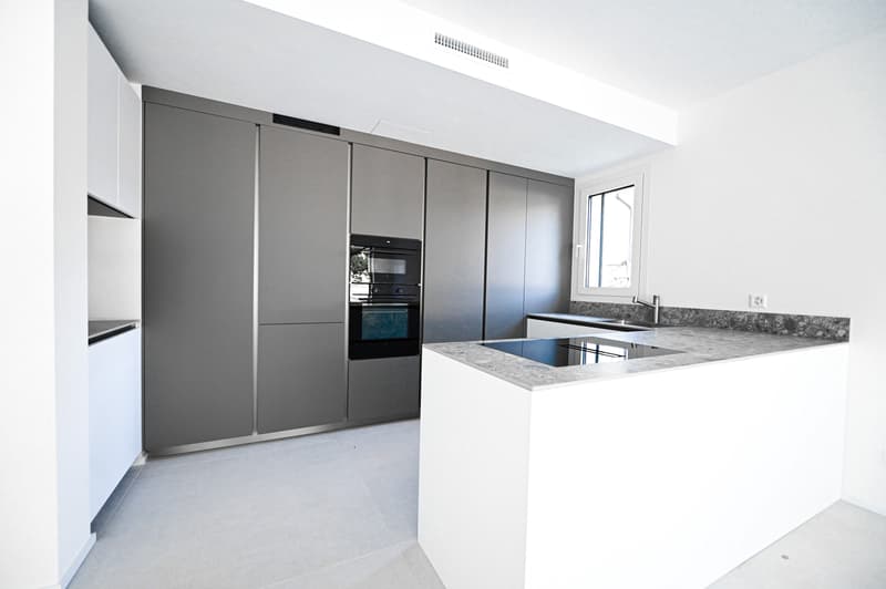 Appartement en attique 4,5 pièces avec terrasse splendide (4)