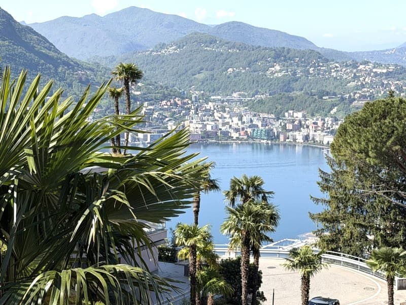 Villa mit Charme und Seeblick - Monte Brè (2)
