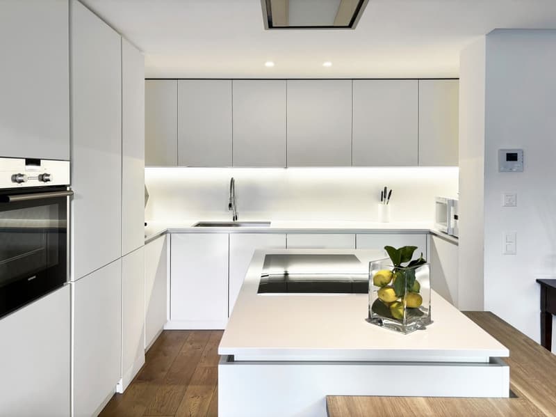 STUNNING 3.5 ROOMS FURNISHED APARTMENT WITH LAKE VIEW - RESERVED (4)