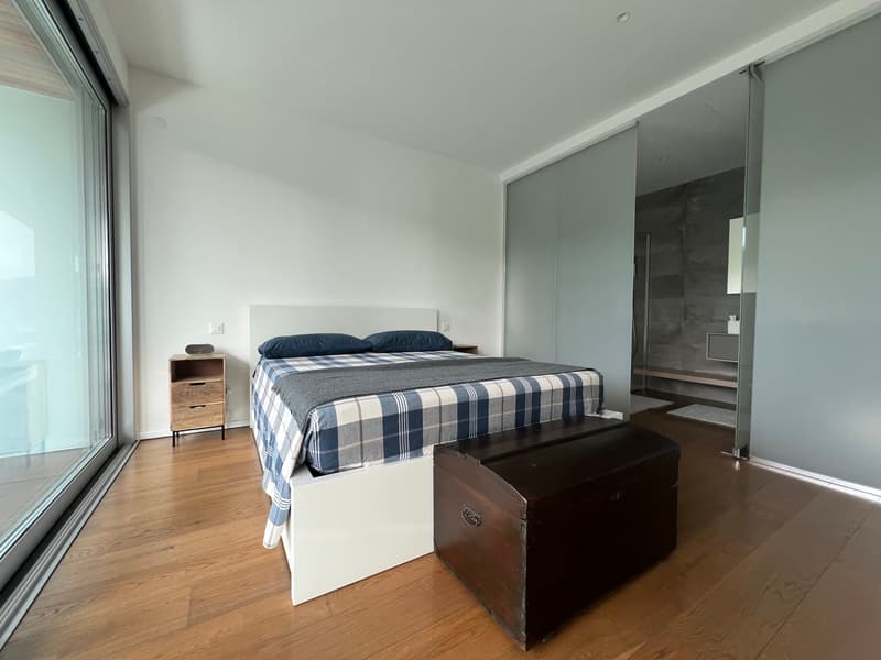 STUNNING 3.5 ROOMS FURNISHED APARTMENT WITH LAKE VIEW - RESERVED (7)