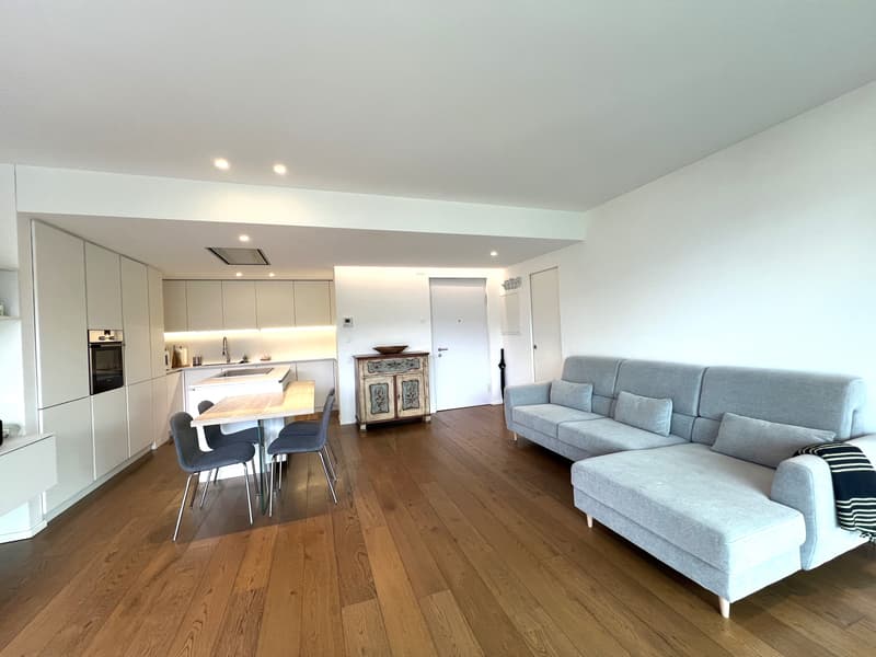 STUNNING 3.5 ROOMS FURNISHED APARTMENT WITH LAKE VIEW - RESERVED (3)