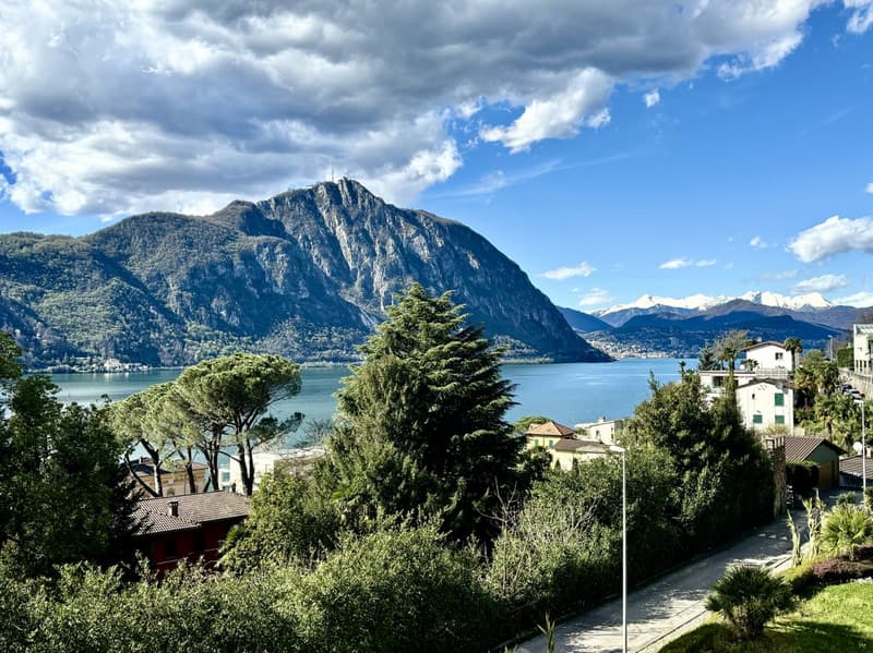 STUNNING 3.5 ROOMS FURNISHED APARTMENT WITH LAKE VIEW - RESERVED (1)