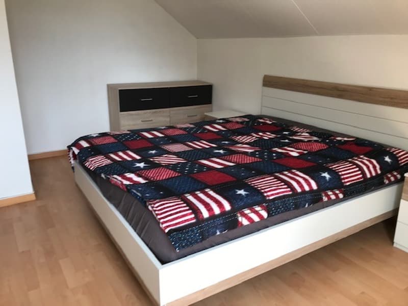 2.5 room apartment furnished - ideal for singles or couples (7)