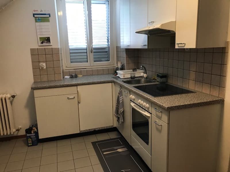 2.5 room apartment furnished - ideal for singles or couples (2)