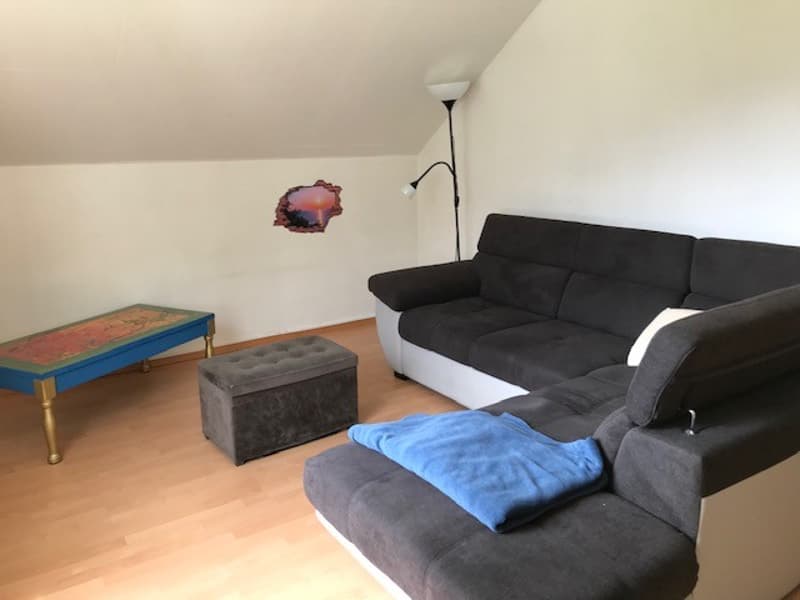 2.5 room apartment furnished - ideal for singles or couples (5)