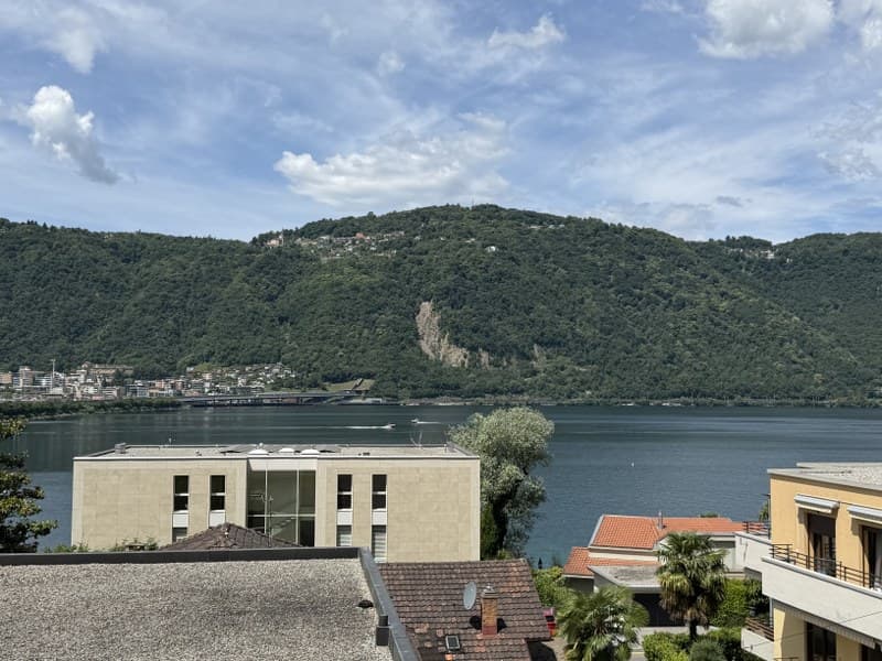 Maison unifamiliale de 6.5 pièces avec vue panoramique sur le lac (2)