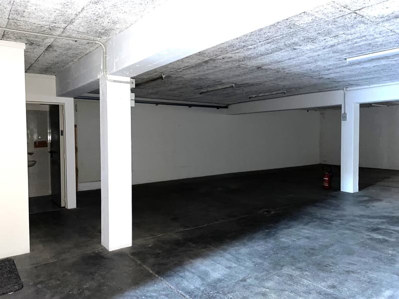 MAGAZZINO / SPAZIO COMMERCIALE (3)