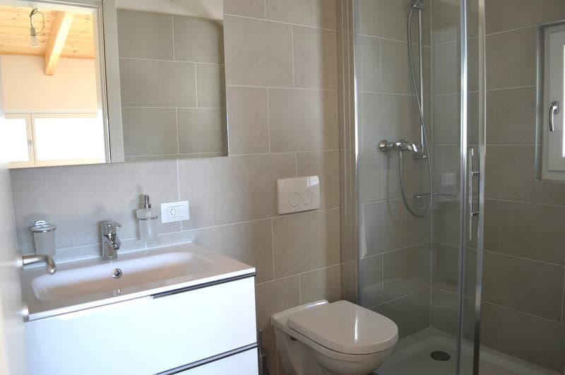 5.5-room single-family villa with garden (9)
