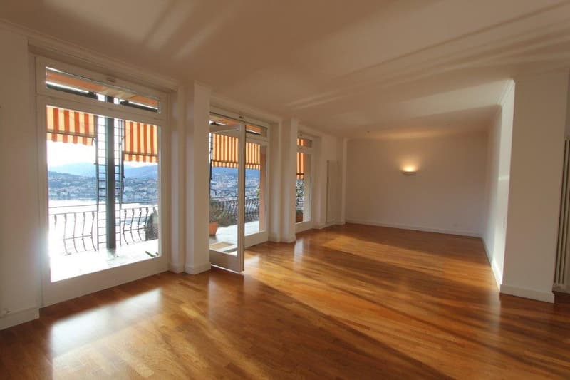 APPARTAMENTO 5.5 LOCALI CON MERAVIGLIOSA VISTA LAGO (3)