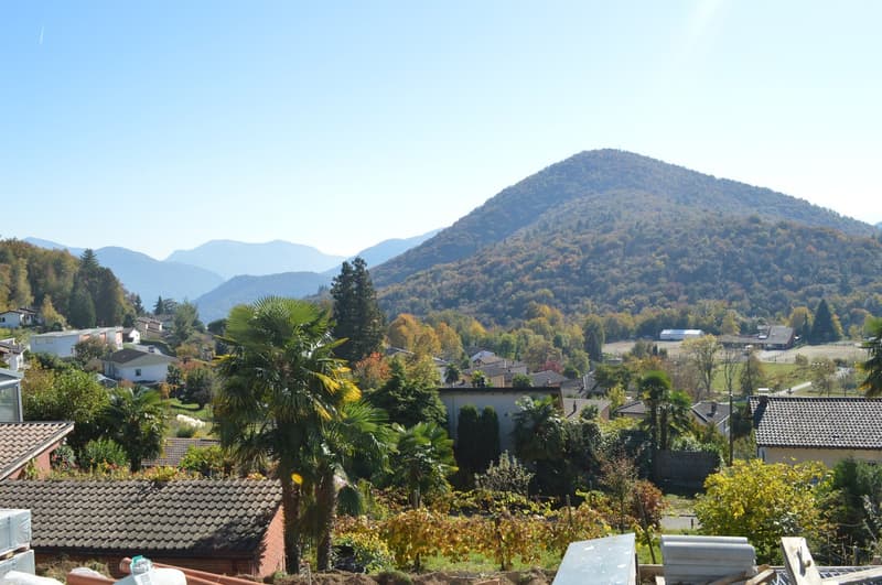 Einfamilienhaus mit 5,5 Zimmern und Garten (3)