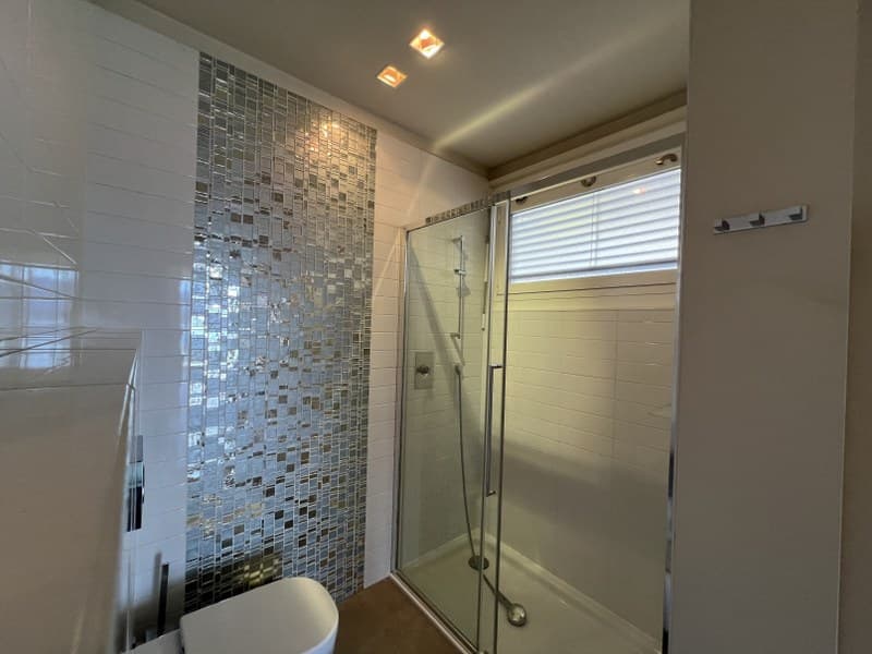 Apartment 3.5 rooms with stunning lake view (12)