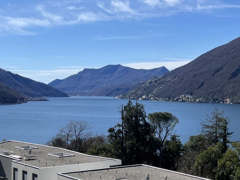 Apartment 3.5 rooms with stunning lake view (1)