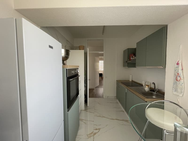 Renovated 3.5-room apartment (3)
