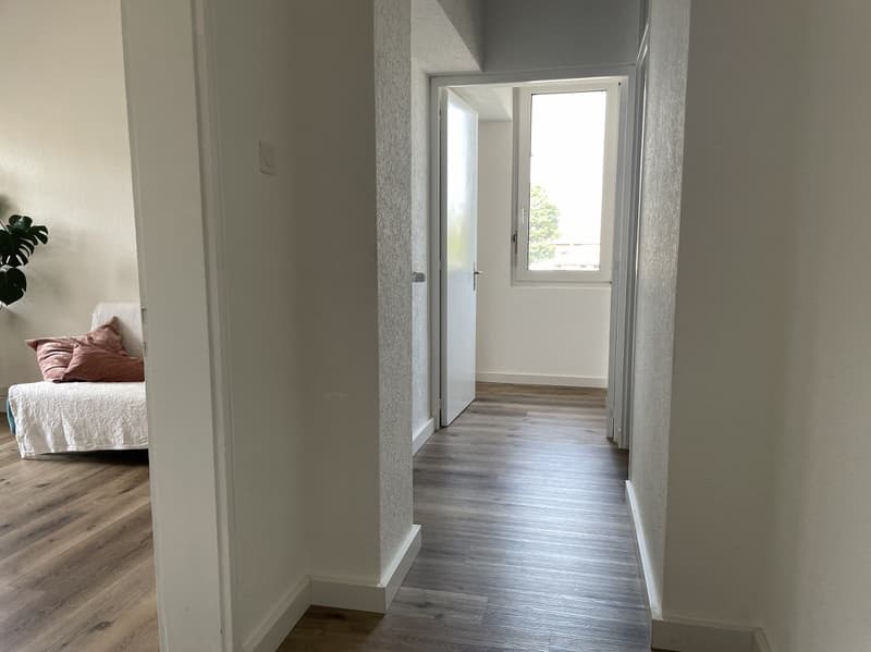 Renovated 3.5-room apartment (7)