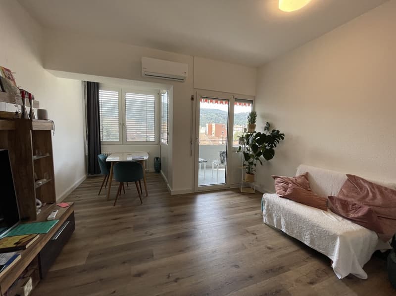 Renovated 3.5-room apartment (4)