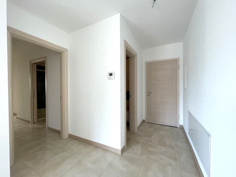 APPARTAMENTO 3.5 LOCALI CON AMPIA TERRAZZA E VISTA APERTA (5)