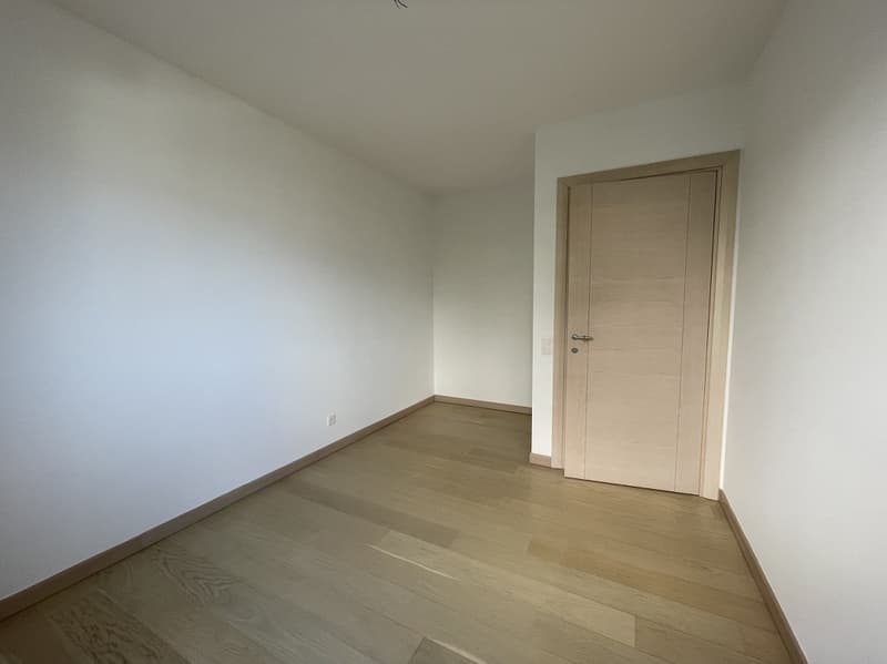 APPARTAMENTO 3.5 LOCALI CON AMPIA TERRAZZA E VISTA APERTA (12)