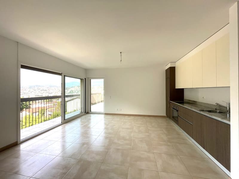 APPARTAMENTO 3.5 LOCALI CON AMPIA TERRAZZA E VISTA APERTA (3)