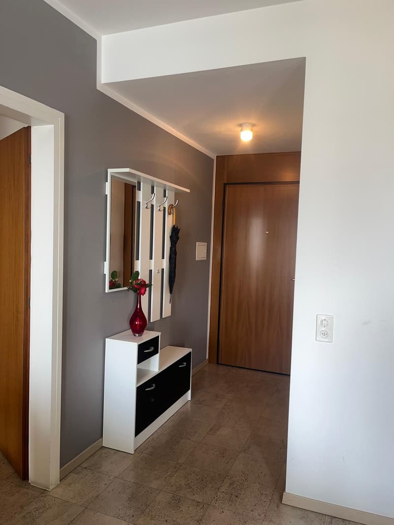 APPARTAMENTO 2.5 LOCALI CON MERAVIGLIOSA VISTA LAGO (8)