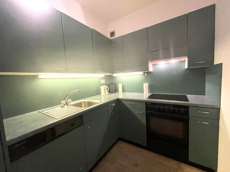 APPARTAMENTO 2.5 LOCALI CON MERAVIGLIOSA VISTA LAGO (7)