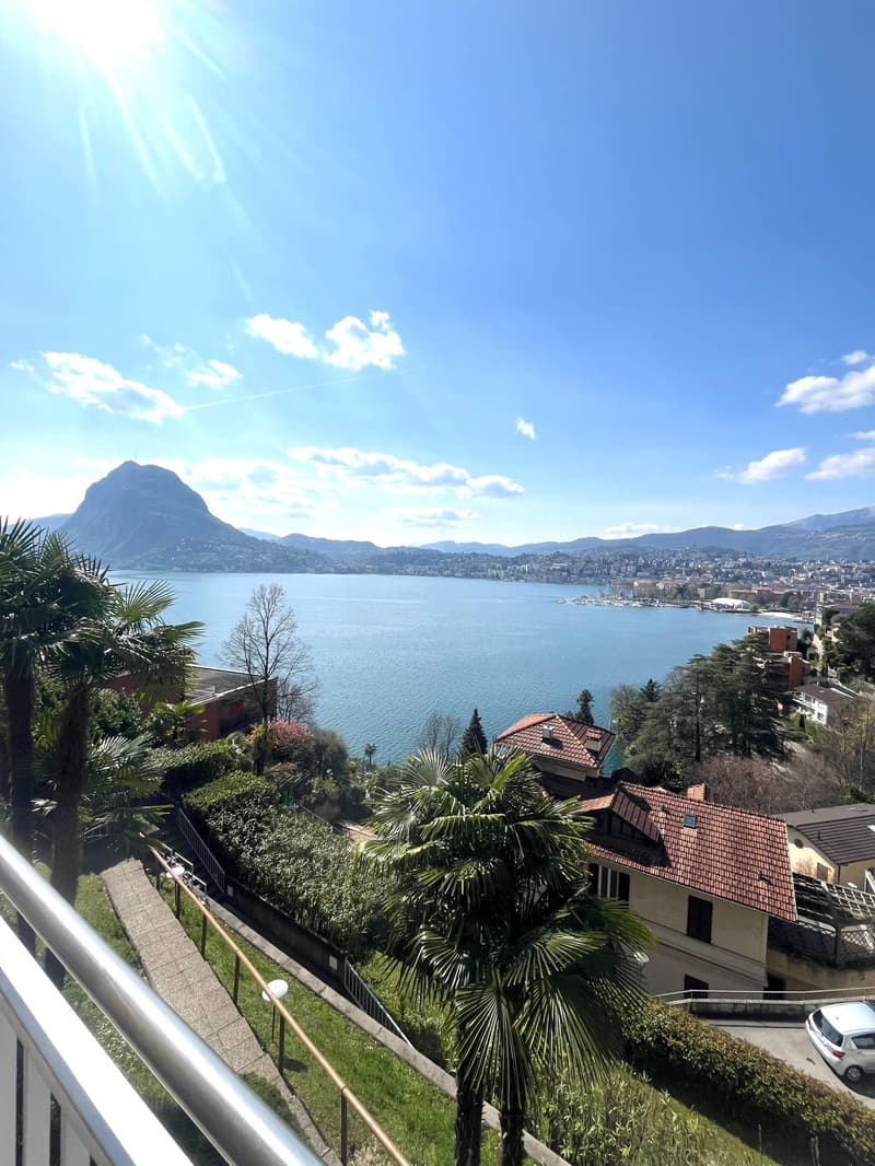 APPARTAMENTO 2.5 LOCALI CON MERAVIGLIOSA VISTA LAGO (1)