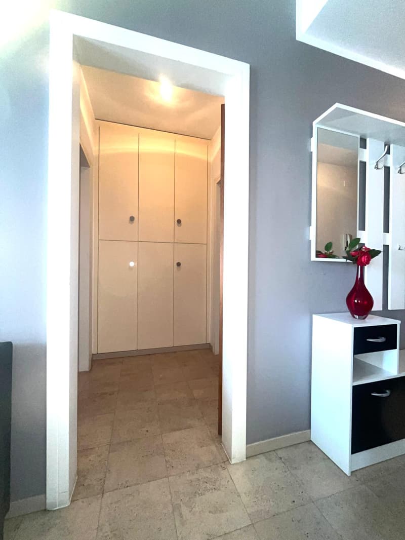 APPARTAMENTO 2.5 LOCALI CON MERAVIGLIOSA VISTA LAGO (9)